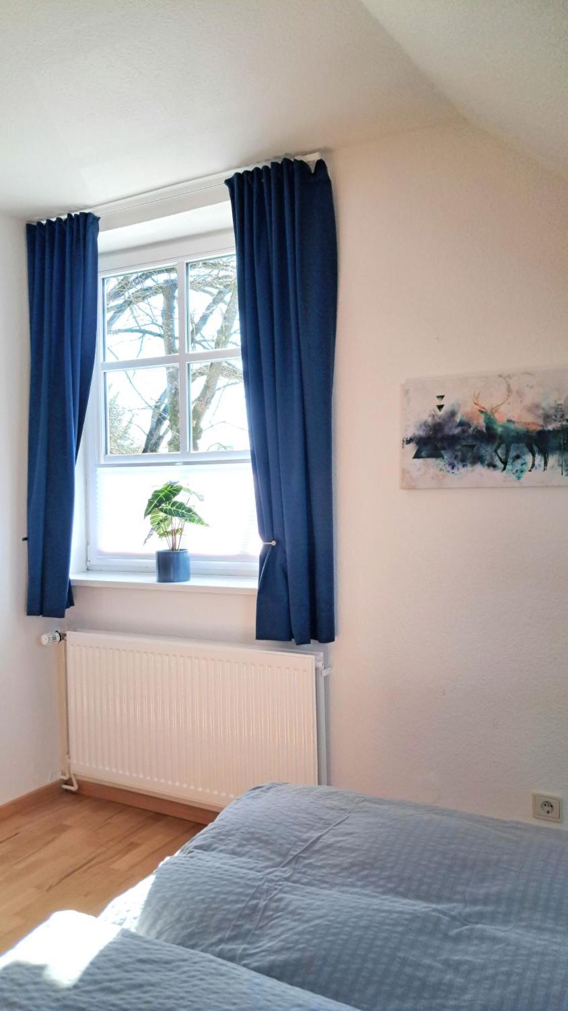 Apartment Brauner Hirsch ツェレ エクステリア 写真