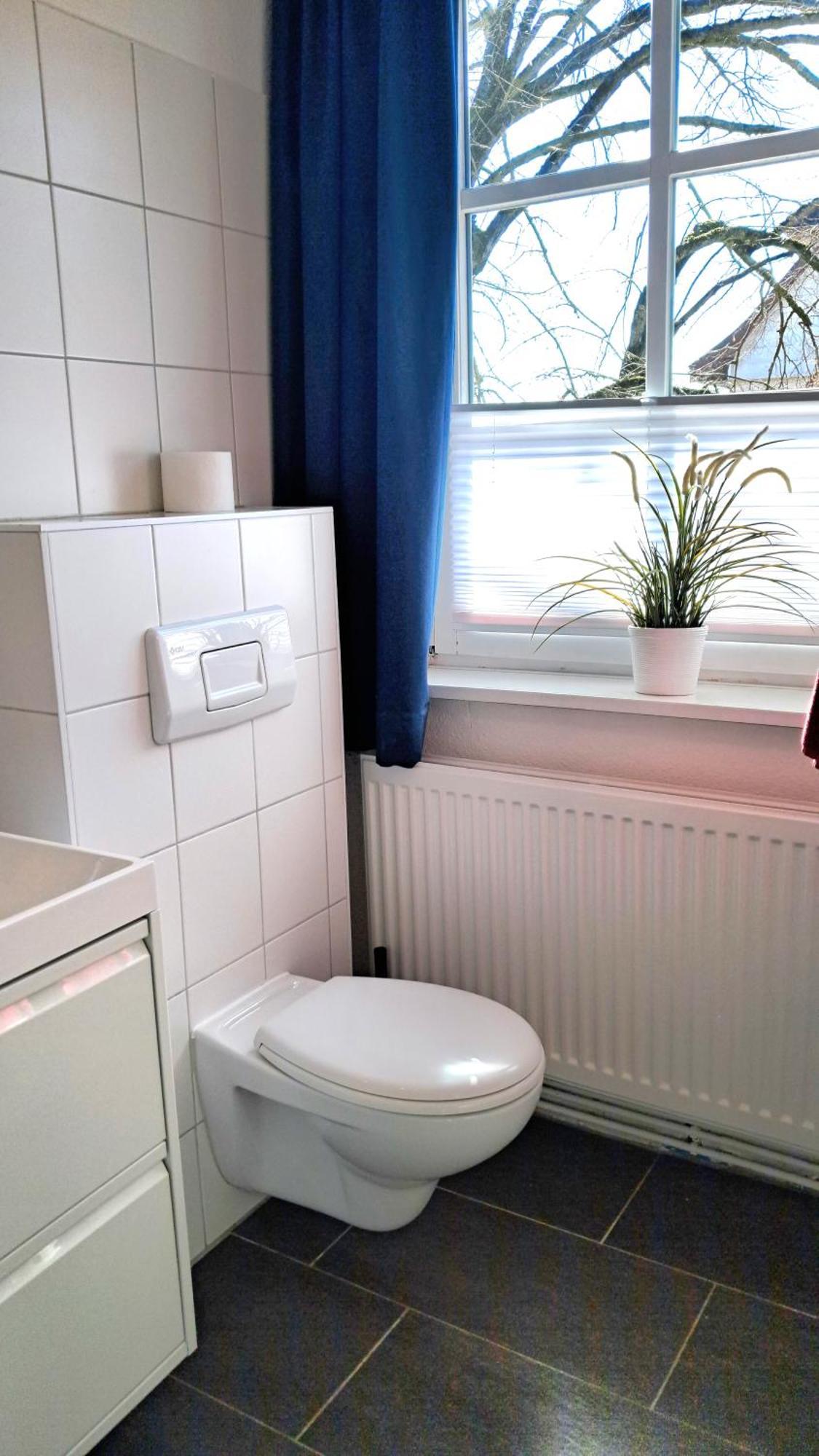 Apartment Brauner Hirsch ツェレ エクステリア 写真