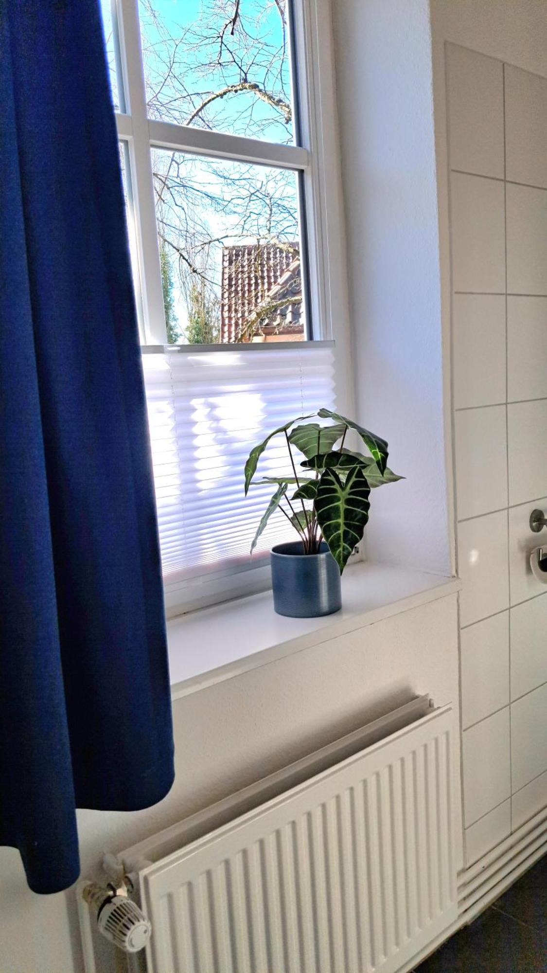 Apartment Brauner Hirsch ツェレ エクステリア 写真